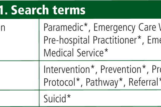paramedic dissertation ideas uk